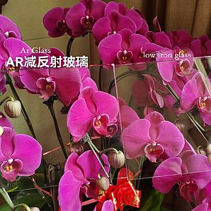 1785067998279614.jpg Anti-Glare vs Anti-Reflective 2.jpg