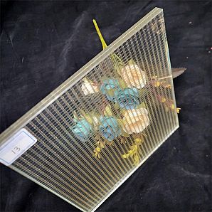 Skräddarsytt kycklingtrådglas obskyrt laminerat glas